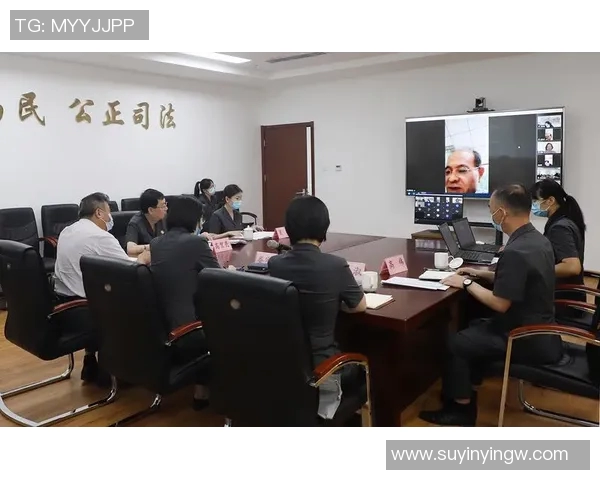 法律视角下的现代社会治理与司法公正的协同发展路径探讨