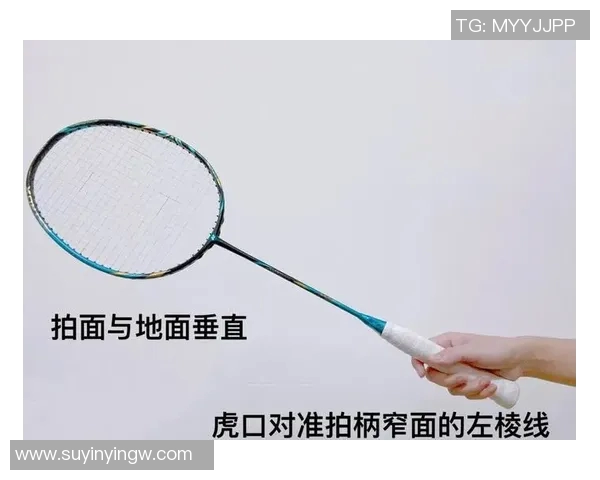 从零起步掌握羽毛球战术技巧全面指南助你成为场上高手 从零起步掌握羽毛球战术技巧全面指南助你成为场上高手