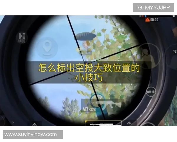 和平精英V5战队心理素质分析与竞技表现的关系探讨