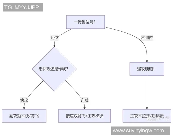 成都排球队反击战术解析与未来发展展望 成都排球队反击战术解析与未来发展展望